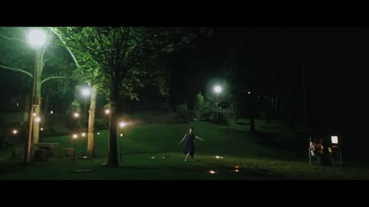 流れ星 / 関取 花