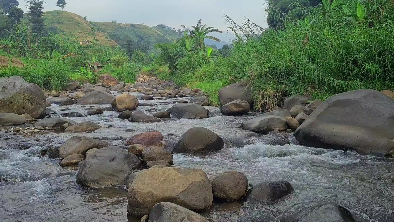 Relaxing River Under the Moonlight – Peaceful Water Sounds for Restful Sleep