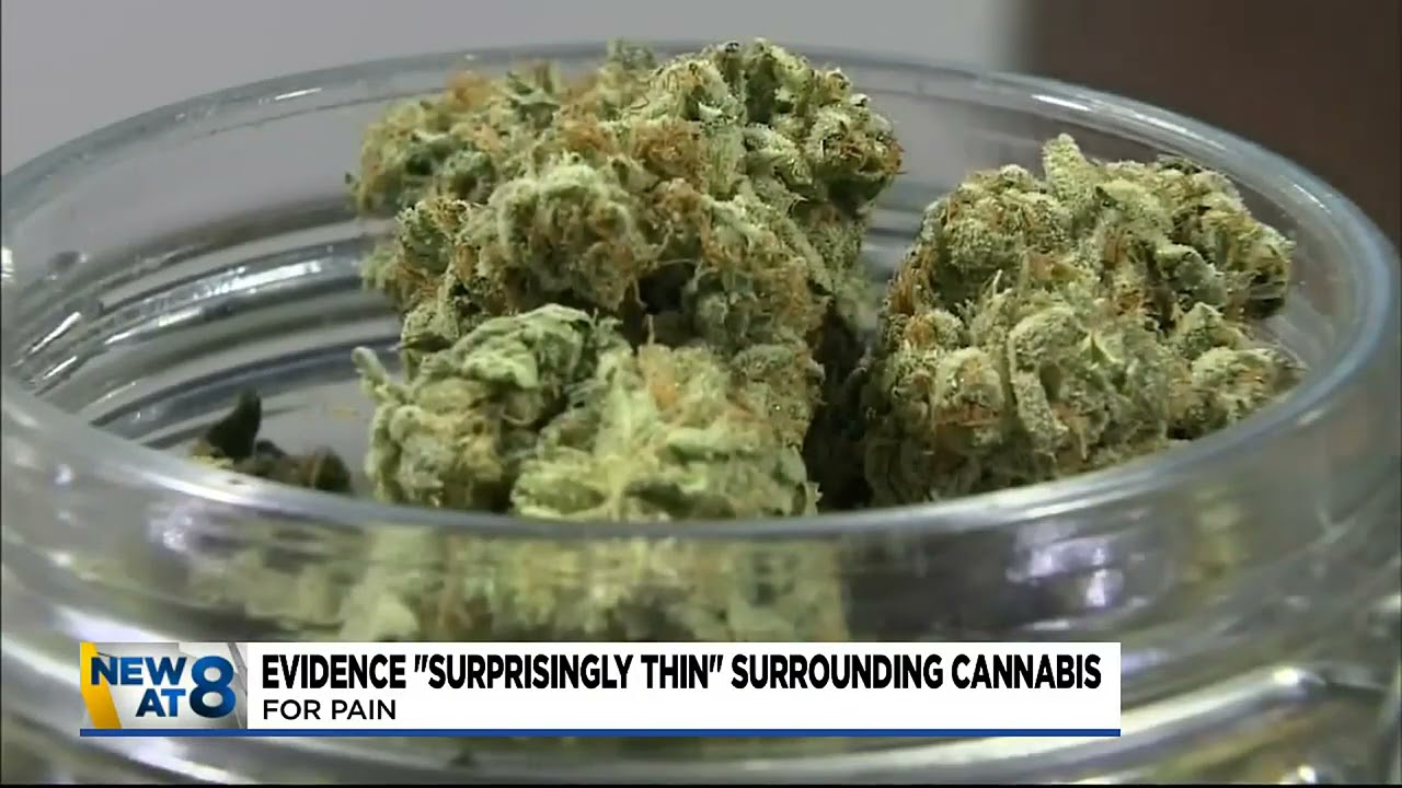 OHSU study: Cannabis helps treat chronic pain, but not by much