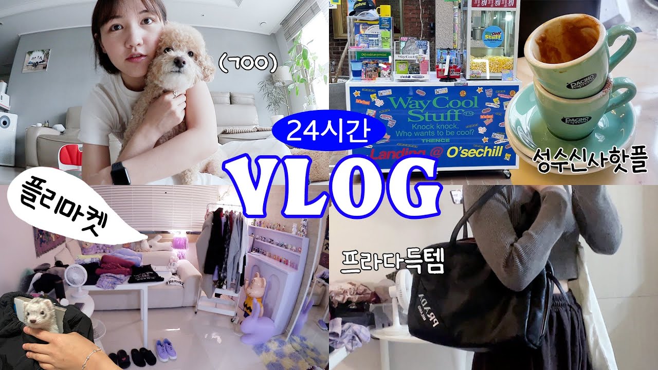 오쪼쪼 나의 소중하고도 꽉 찬 24시간 일상 VLOG (신사 에쏘바 파치노, 성수 오색칠X덴스 팝업,지지네 플리마켓,득템)