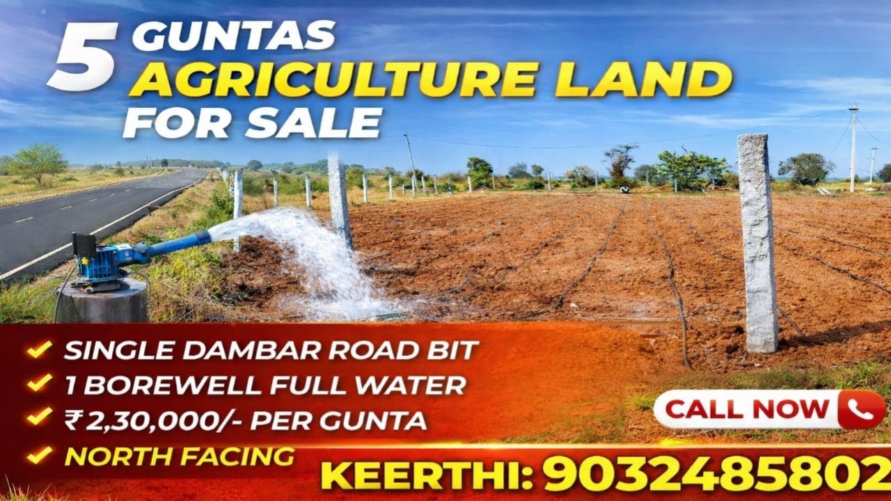 Keerthi:9032485802||BT Dambar Road BIT||Commercial 5 Guntas||Agriculture land sale #farming #youtube