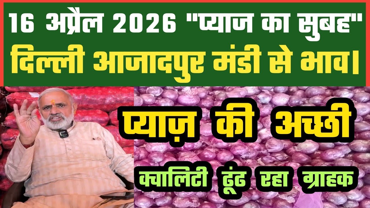 प्याज़ में ऐसे चल रहे बाज़ार, Azadpur Delhi Mandi Today में 16-04-2026 के Onion Price DMT TV