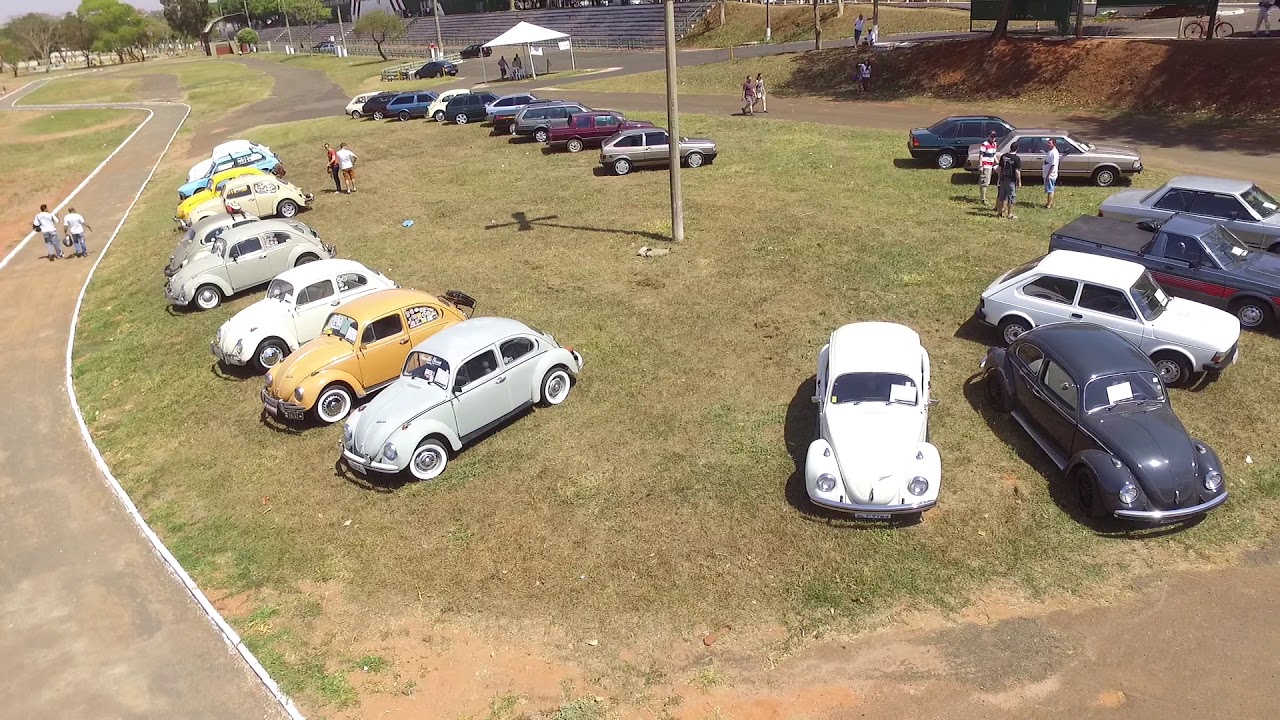 FAMILIA FUSCA