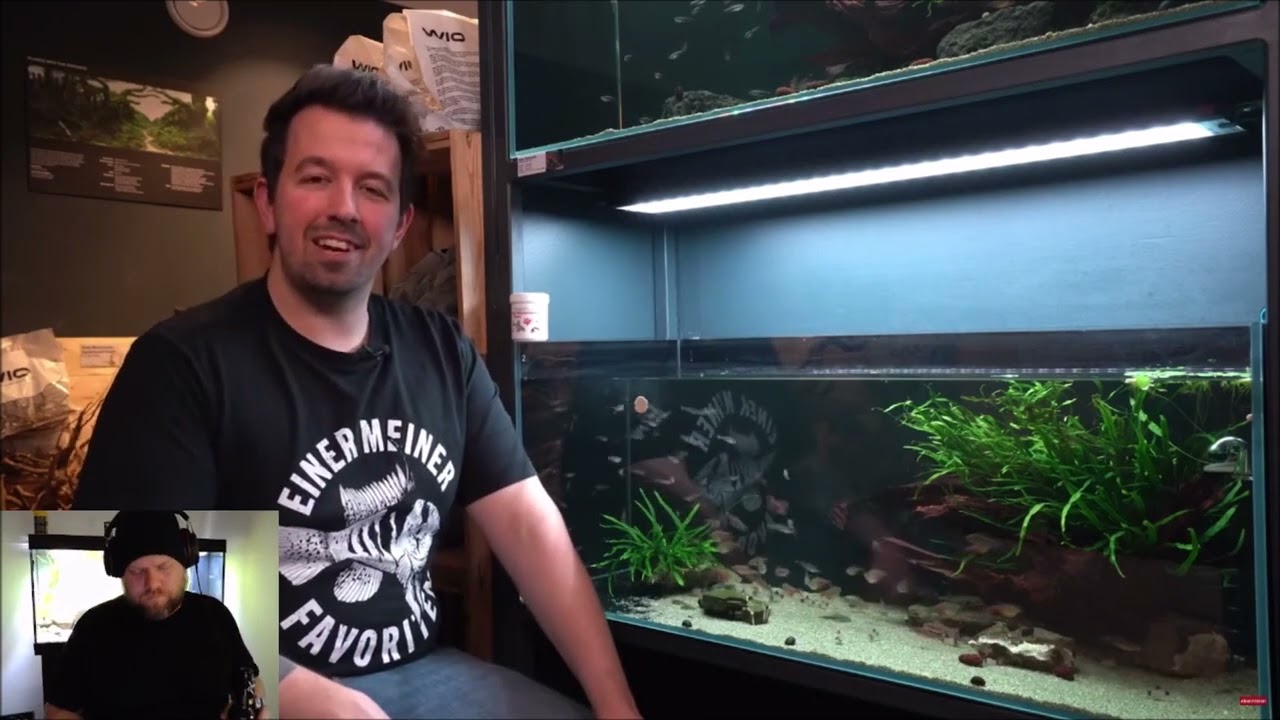 Entschuldigung an Liquid Nature + Beste Salmler!