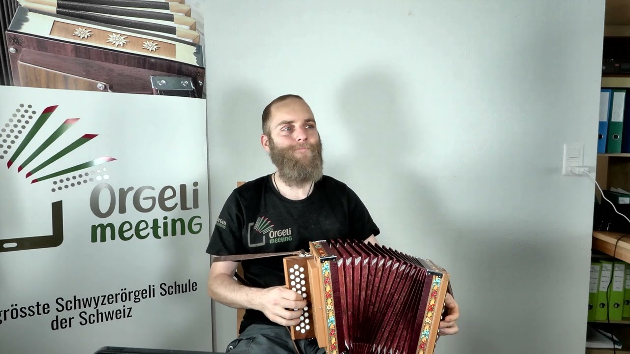 Du bist wie die Sterne so schön (Schwyzerörgeli)