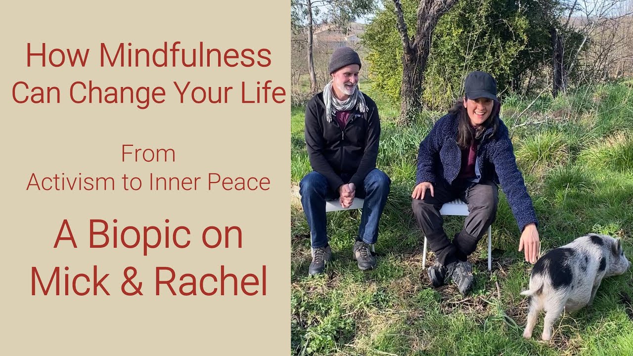 From Activism to Inner Peace: How Mindfulness Can Change Your Life