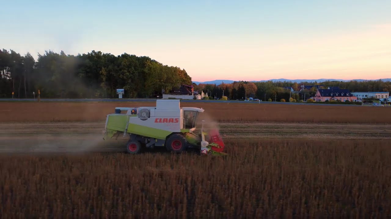 Żniwa soi Amiata nad Jeziorem Nyskim 🌄 Praca, pasja i ochrona plonów w sercu Opolszczyzny 🚜