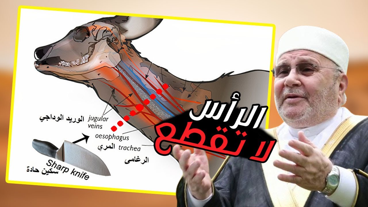 لماذا لا يجب قطع رأس الأضحية كاملا؟ الدكتور محمد راتب النابلسي