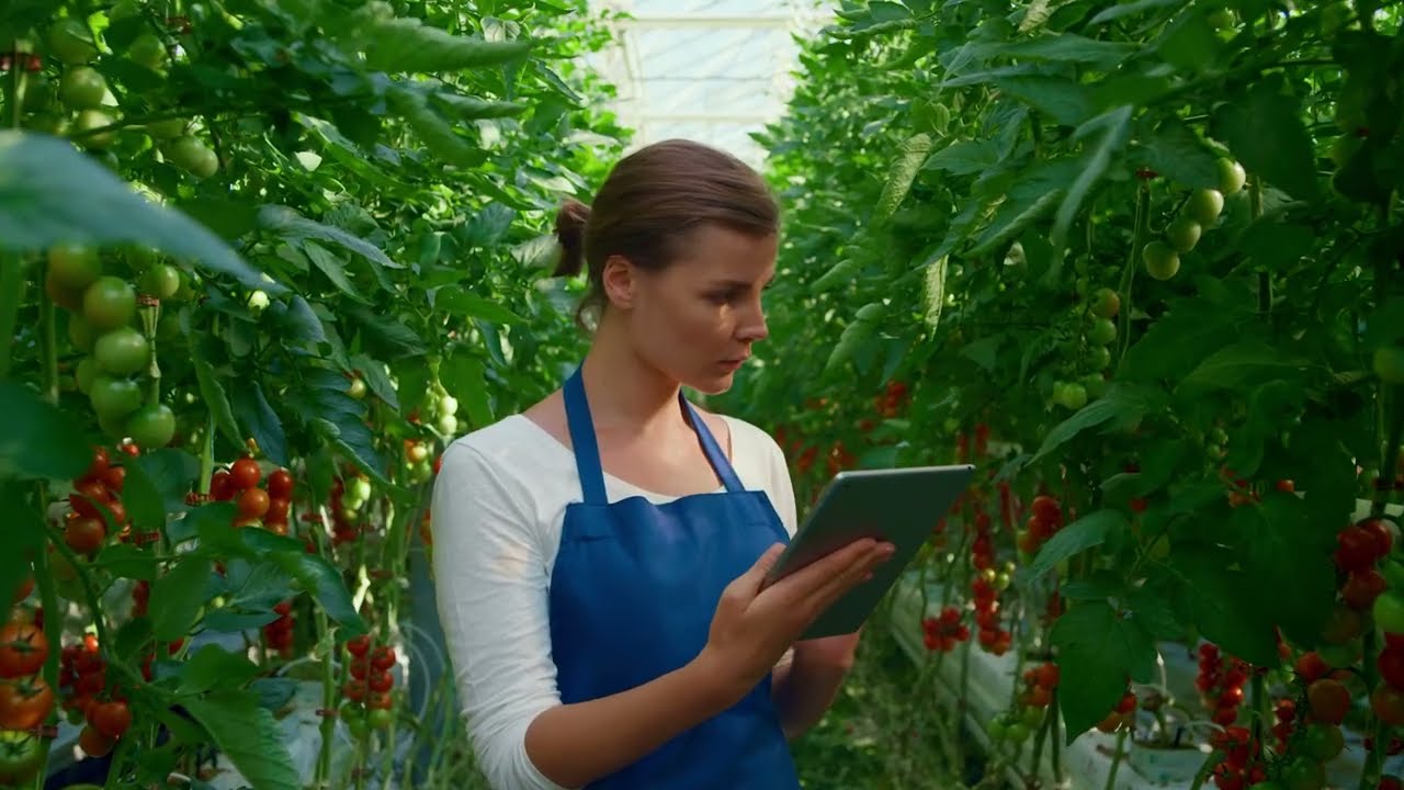 Agronomist - skorzystaj na zr&oacute;wnoważonej produkcji!