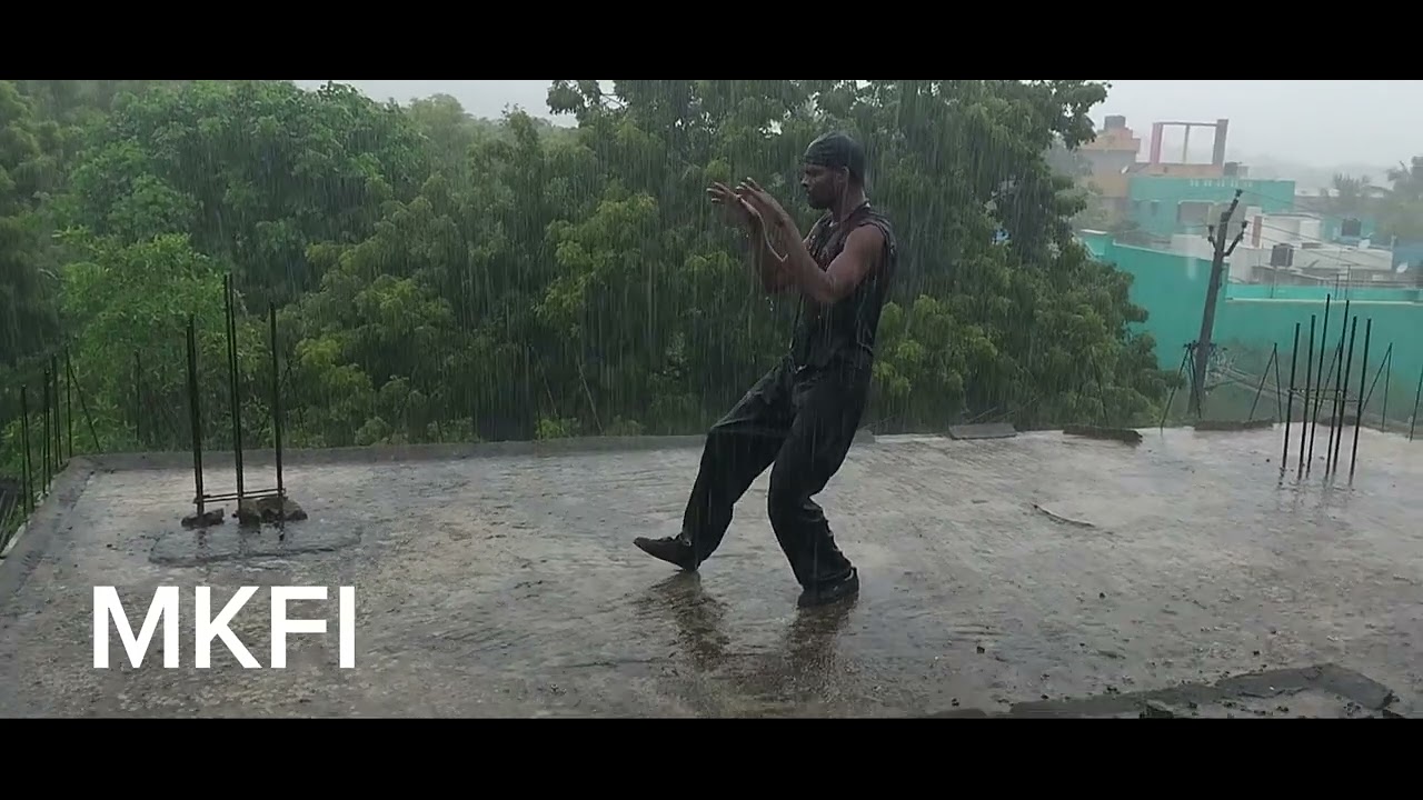 Little  Taichi moments in rainy days|MANCHURIA KUNGFU|