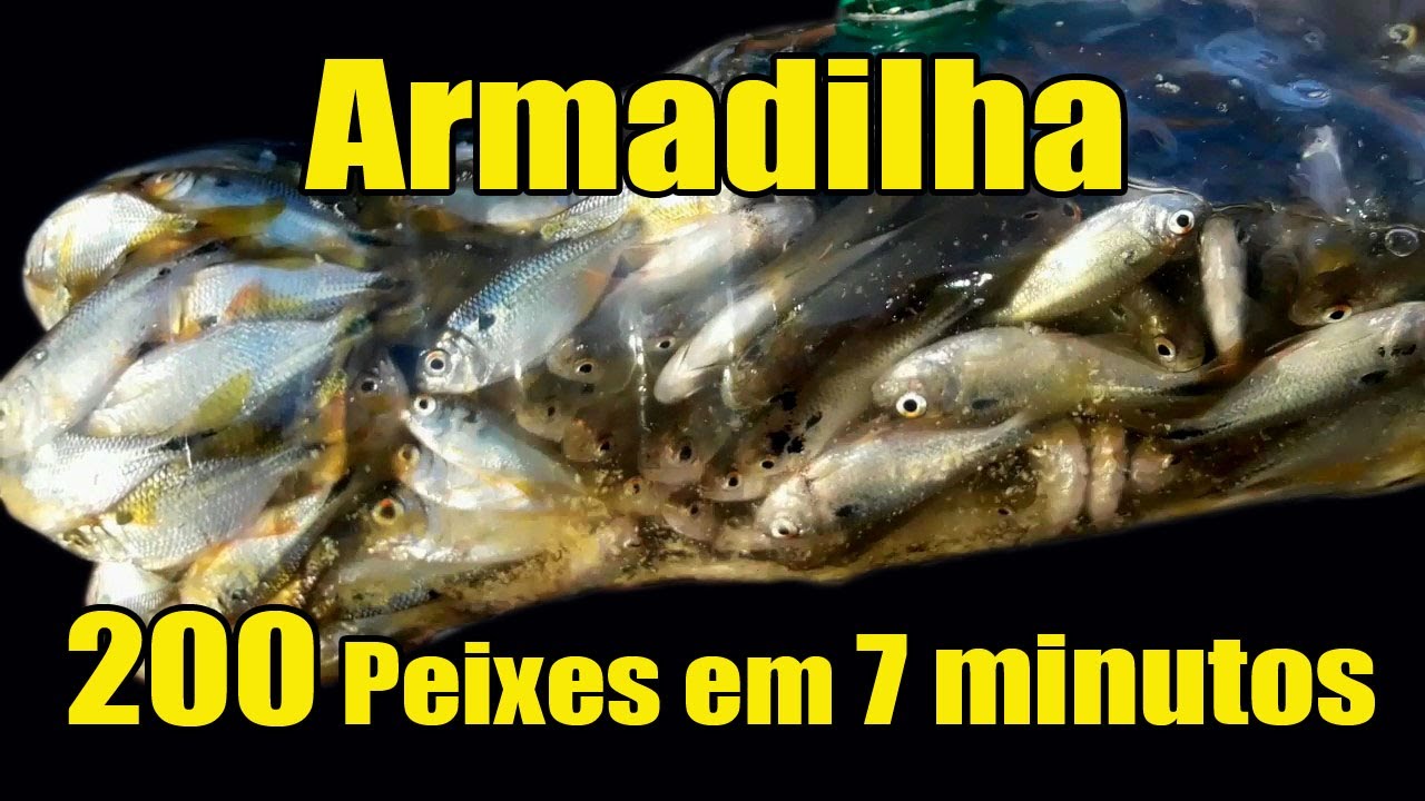 Armadilha Pegando 200 Peixes em 7 Minutos com Garrafa Pet