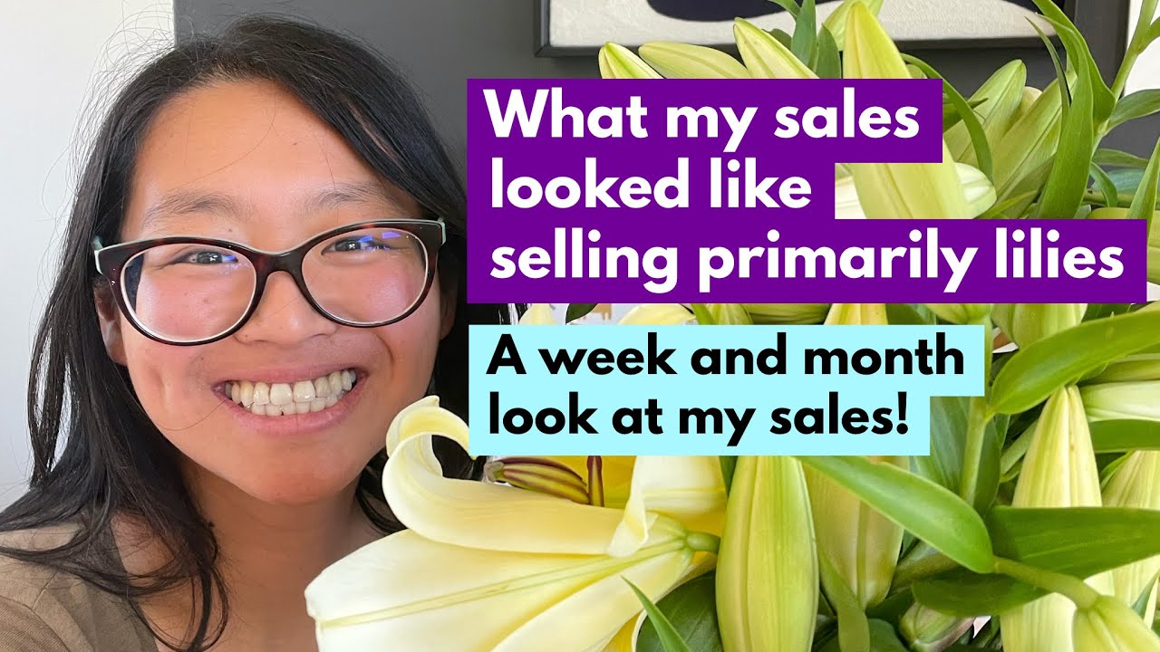 What my sales looked like selling primarily lilies | A week and month look at my sales!