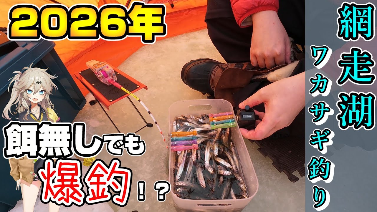 [爆釣!!]網走湖氷上釣り ワカサギが止まらない　青潮の影響は??