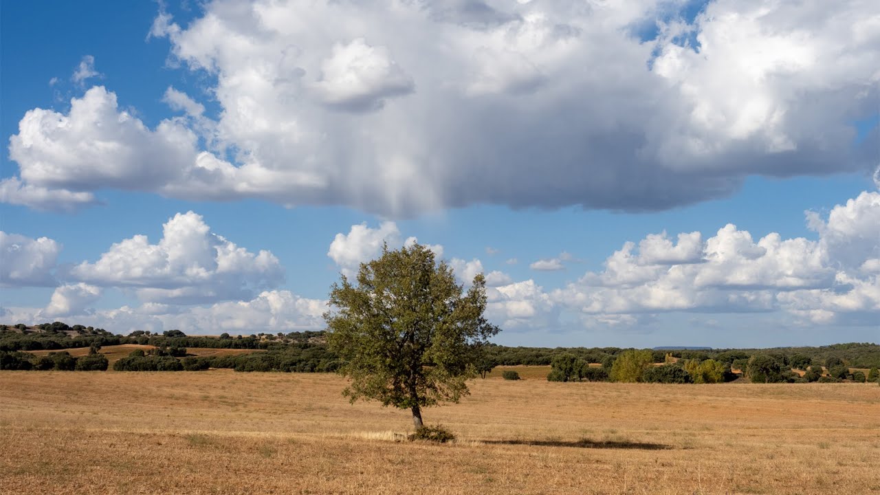 Temps de tardor a Soria 2