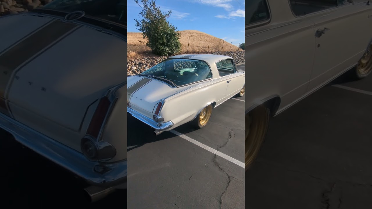 65' Barracuda