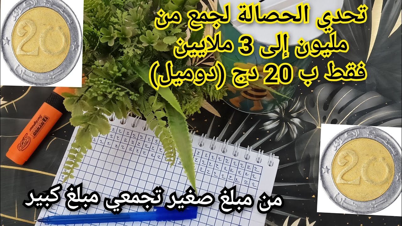 #تحدي_ الحصالة ارواحي نقولك كيفاش تلمي من مليون حتى 3 ملايين بتحدي 20 دج فقط 🤑💵 