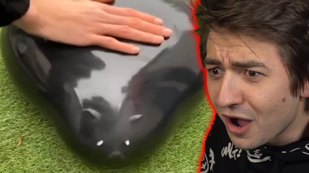 NOOOO!!! NON ESPLODERE IL TOPO!!!1!1!!11