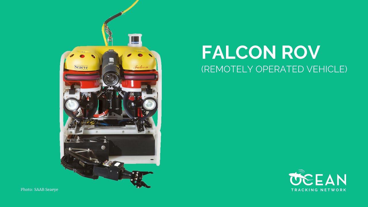 OTN goes deeper with 1000-metre rated Falcon ROV