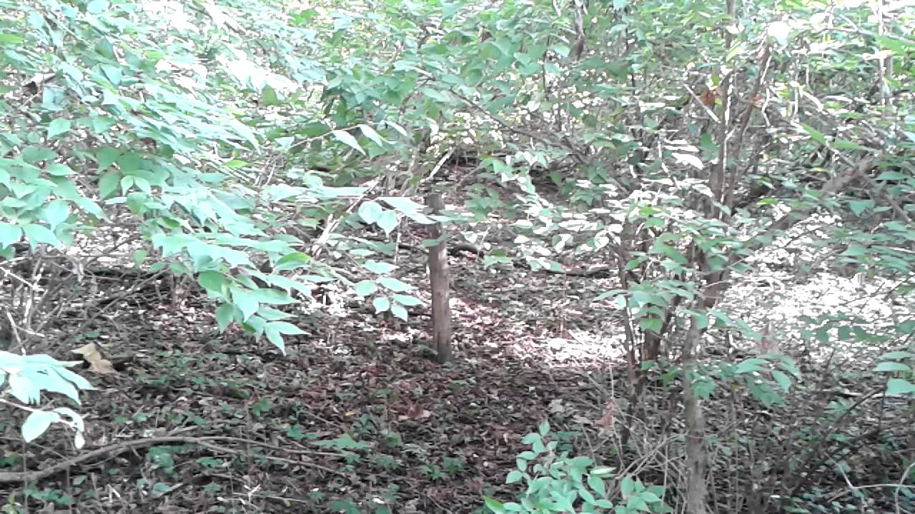 Geocaching From Home - Episode 1