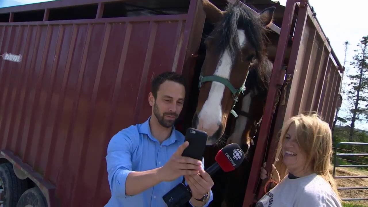 CBCNL OUTTAKES: Reporter Zach Goudie snapchatting with 2 horses
