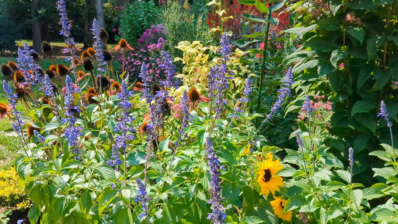 August Garden Tour (2025)