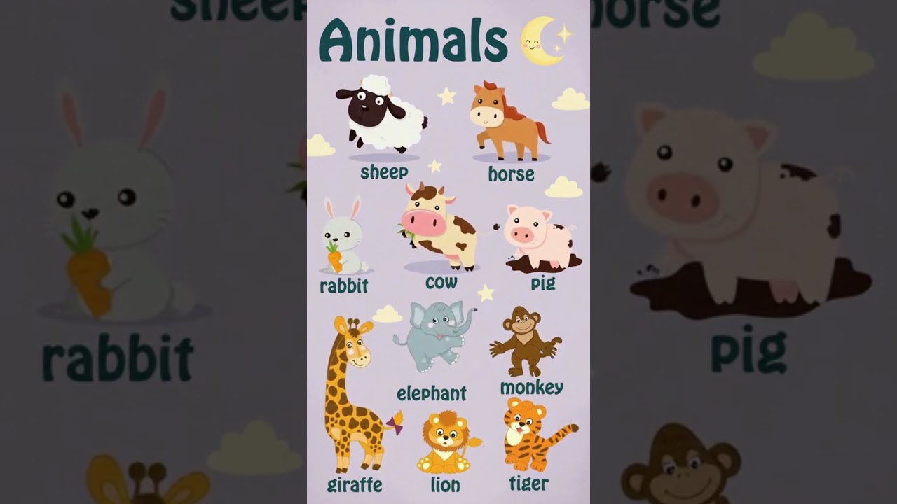 Learn Forest Animals Name For Kids  