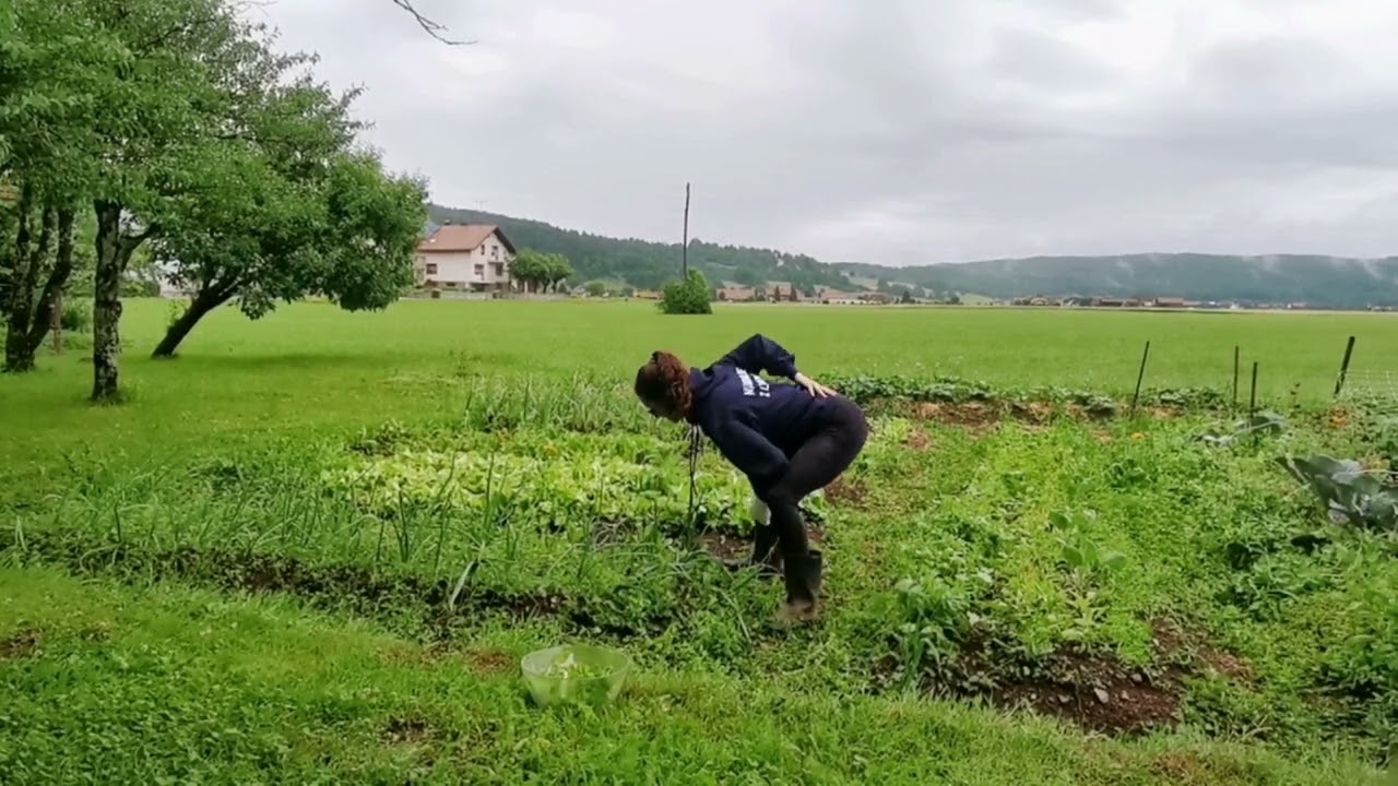 Prepogibanje na vrtu (za neboleče vrtnarjenje)