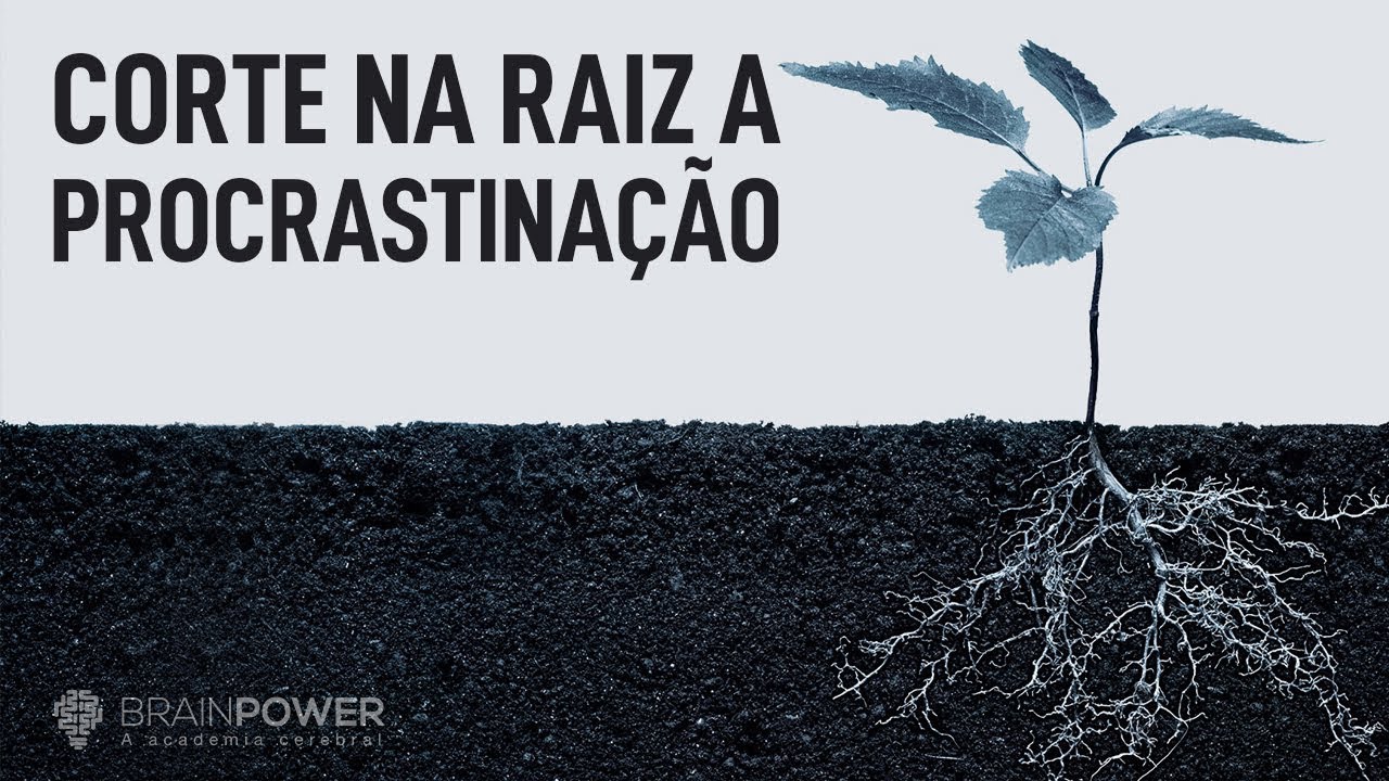As 4 Principais Formas de Não Procrastinar | Academia Cerebral por André Buric
