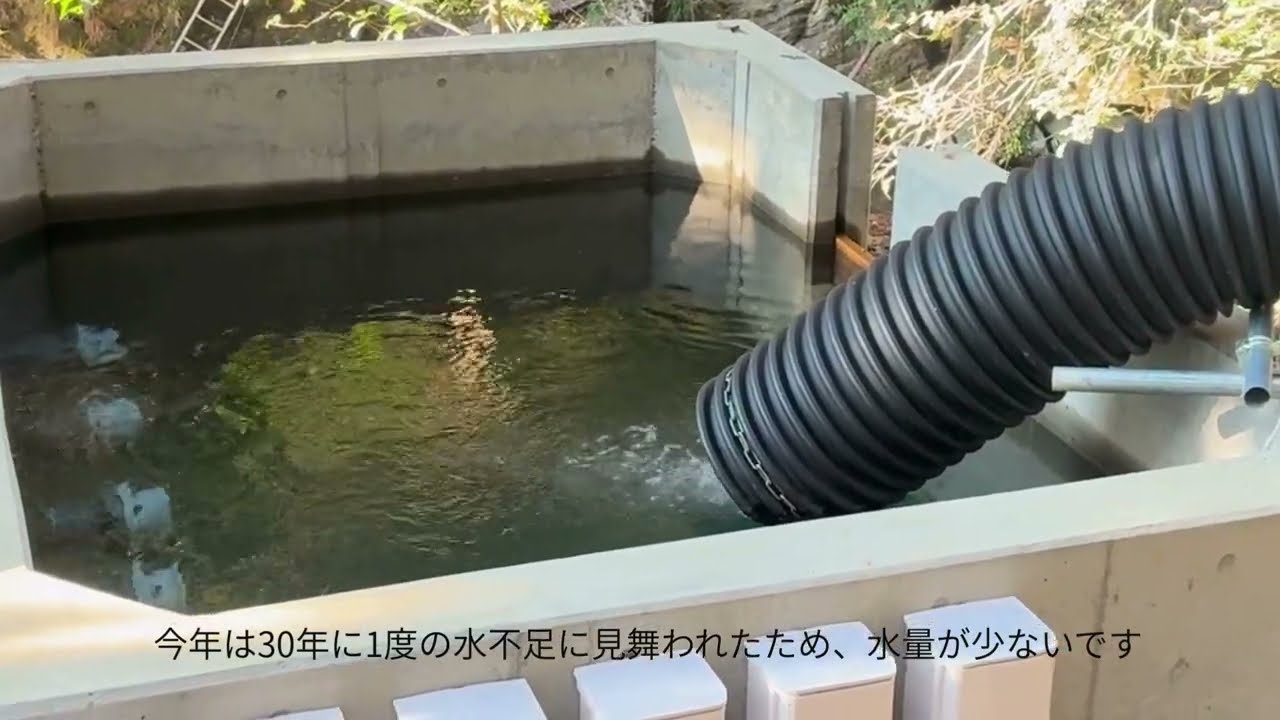 龍山やすらぎ発電所のパフォーマンスを維持せよ！定期点検レポート