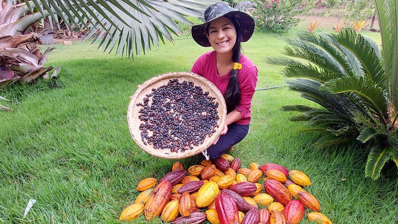 O melhor Chocolate Artesanal feito na roça- Cleide Lifestyle