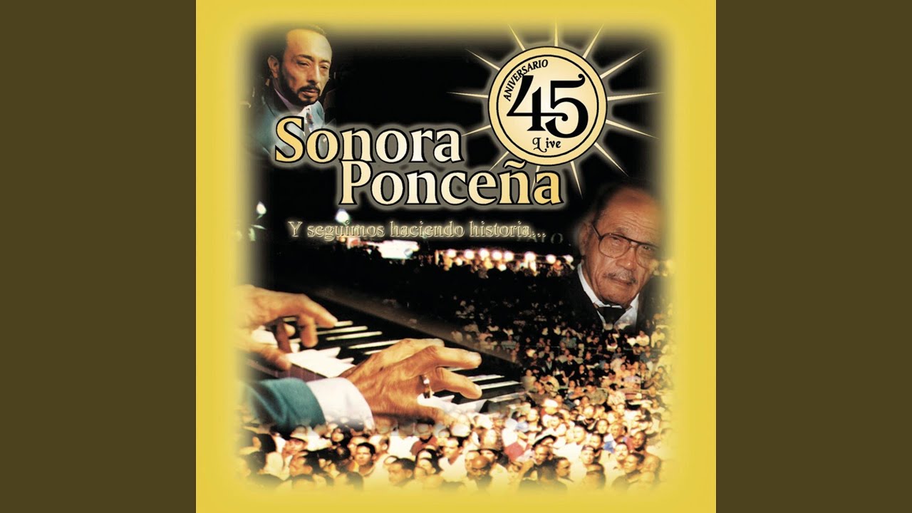 Percusi&oacute;n