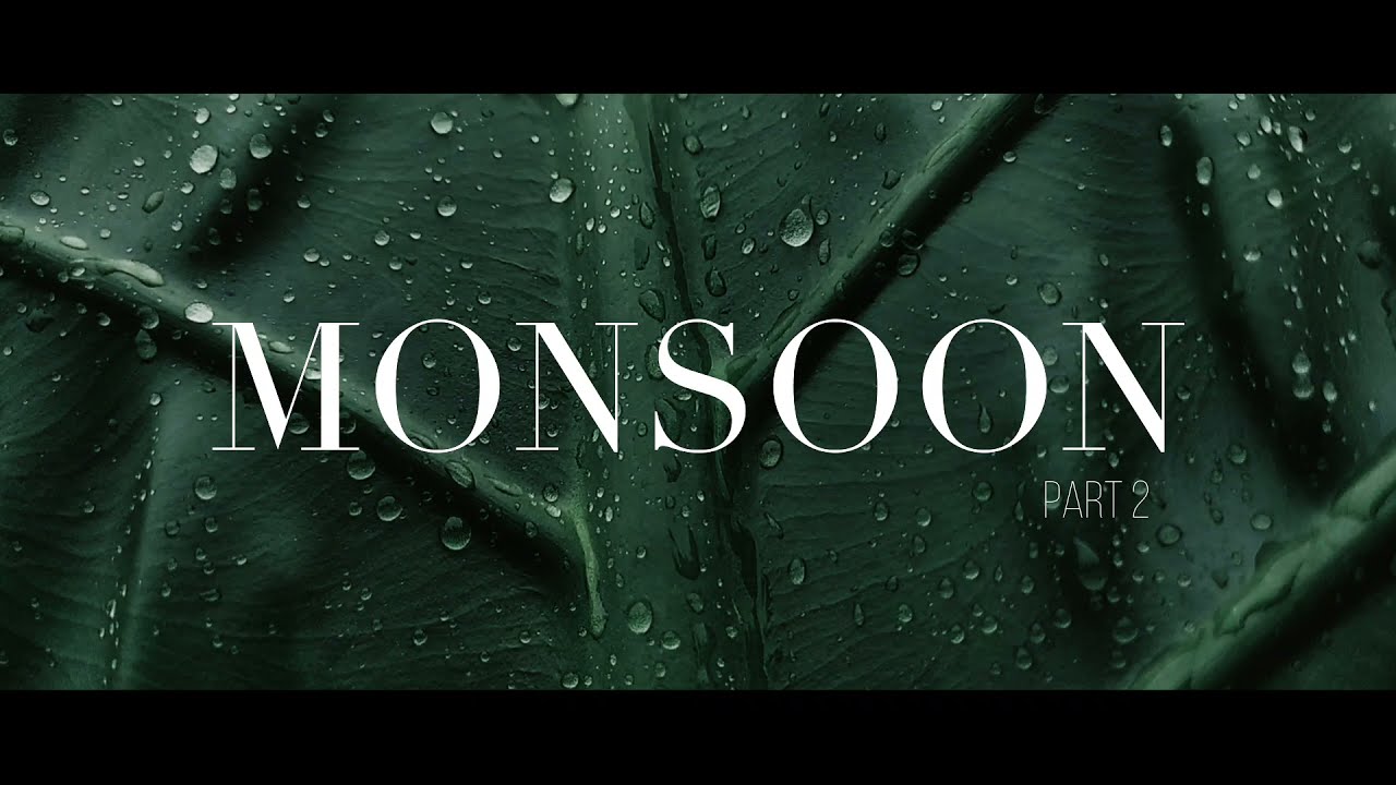 Monsoon | Nature | Cinematic Short Film