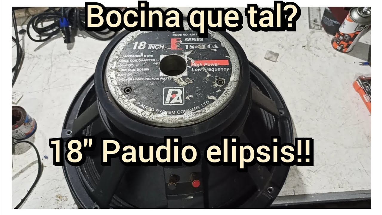 Paudio elipsis 18
