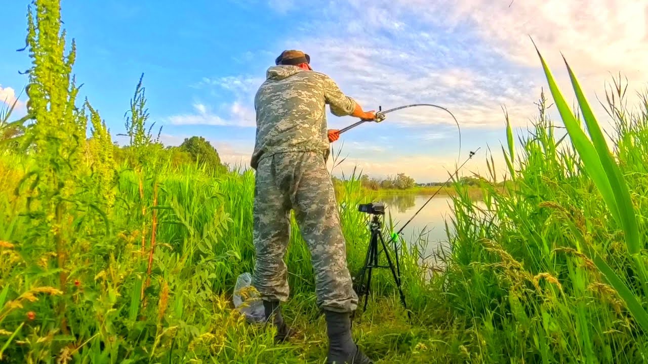 ЗАБРОСИЛ ПОПЛАВОК ПОД КОРЯГИ И ПОНЕСЛОСЬ!
