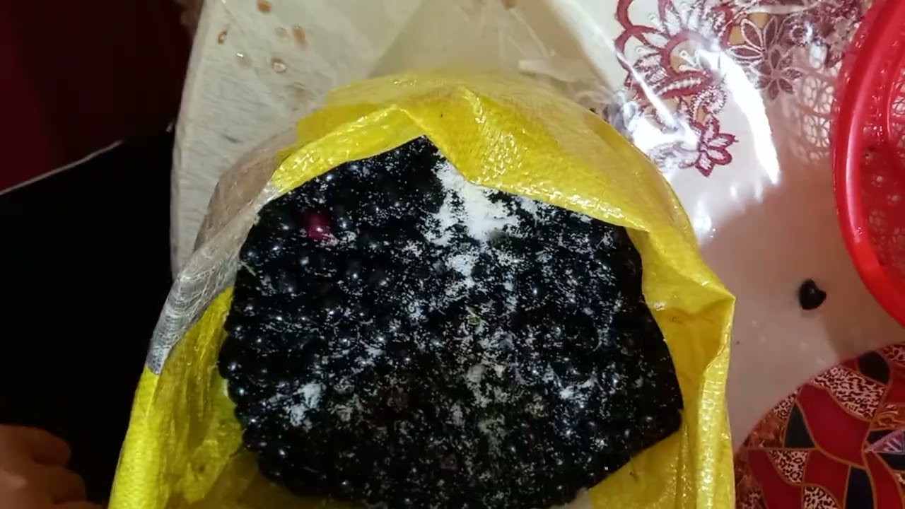زيت الزيتون مشرمل اسود