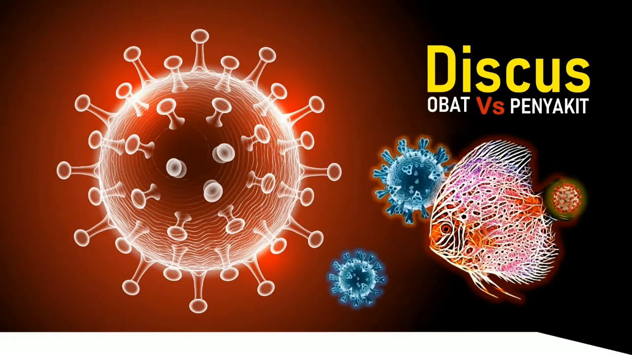 Obat Vs Penyakit Discus