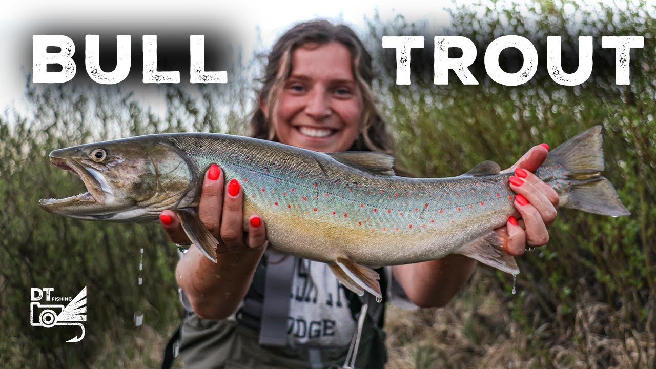 Three Days Straight of Bull Trout Madness