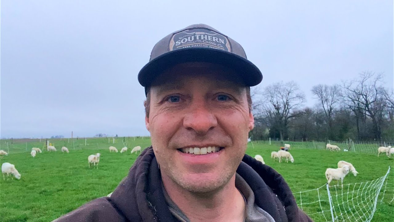 20 Sheep on 2 Acres - Rotational Grazing System