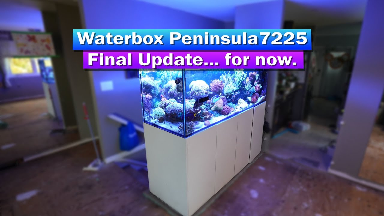 Waterbox Peninsula 7225 — последнее обновление... на данный момент