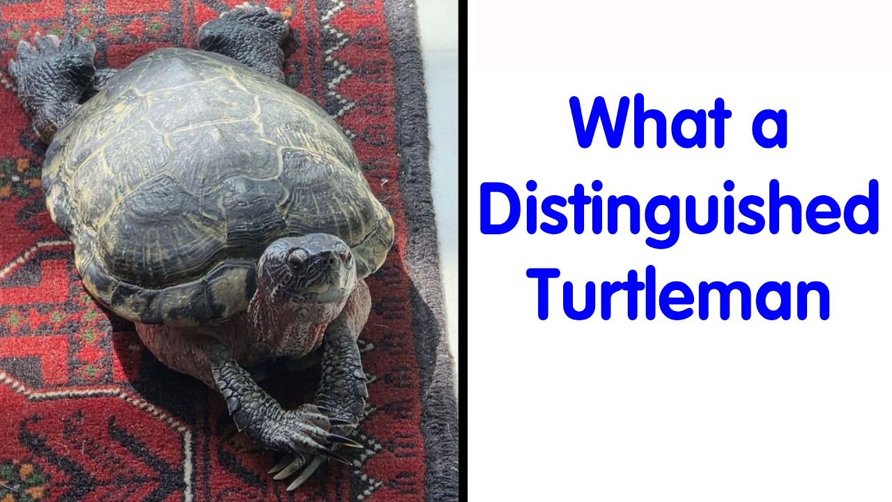 50 Photos Of Animals Being Accidentally Hilarious