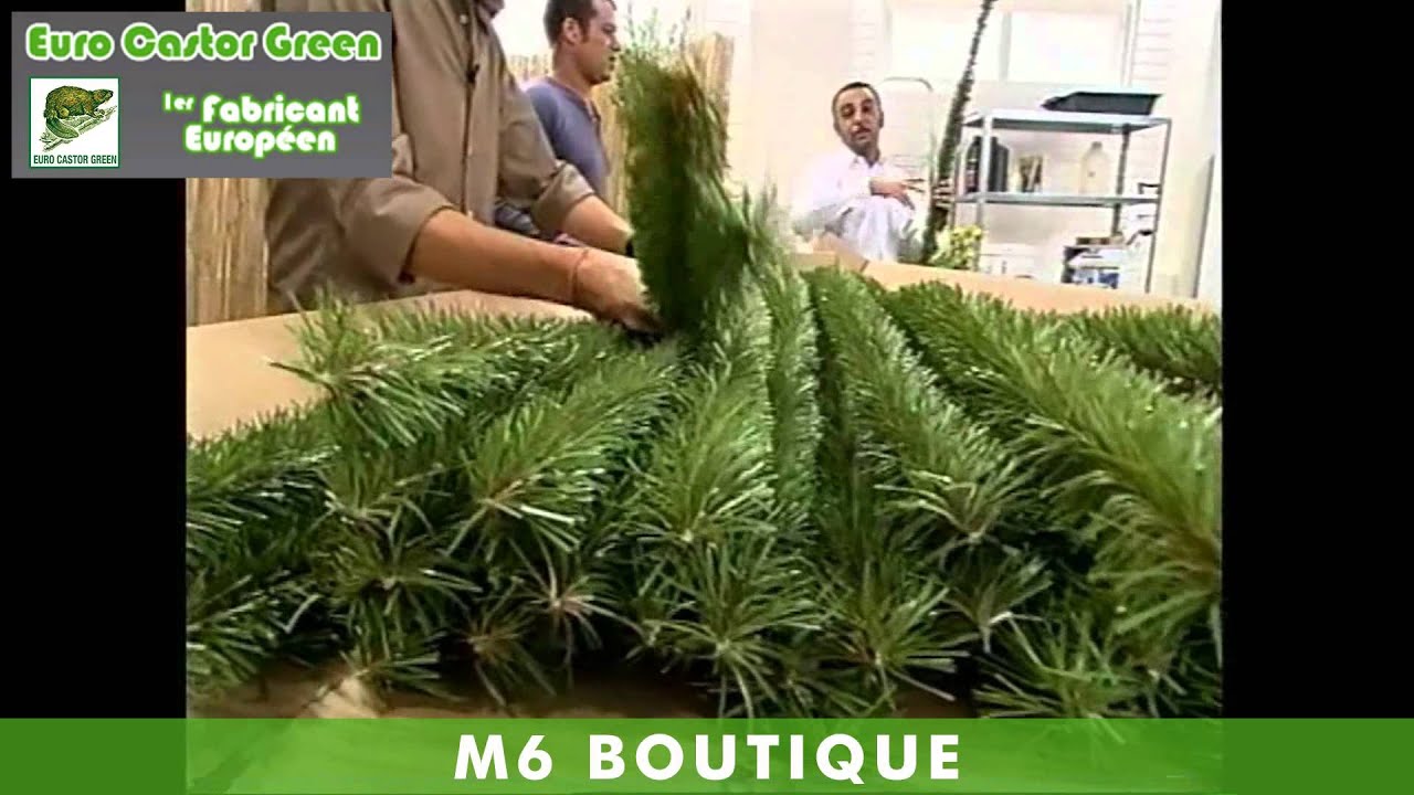 La Haie Eternelle sur M6 - Haie Artificielle, brise vue, occultant, canisse, clôture