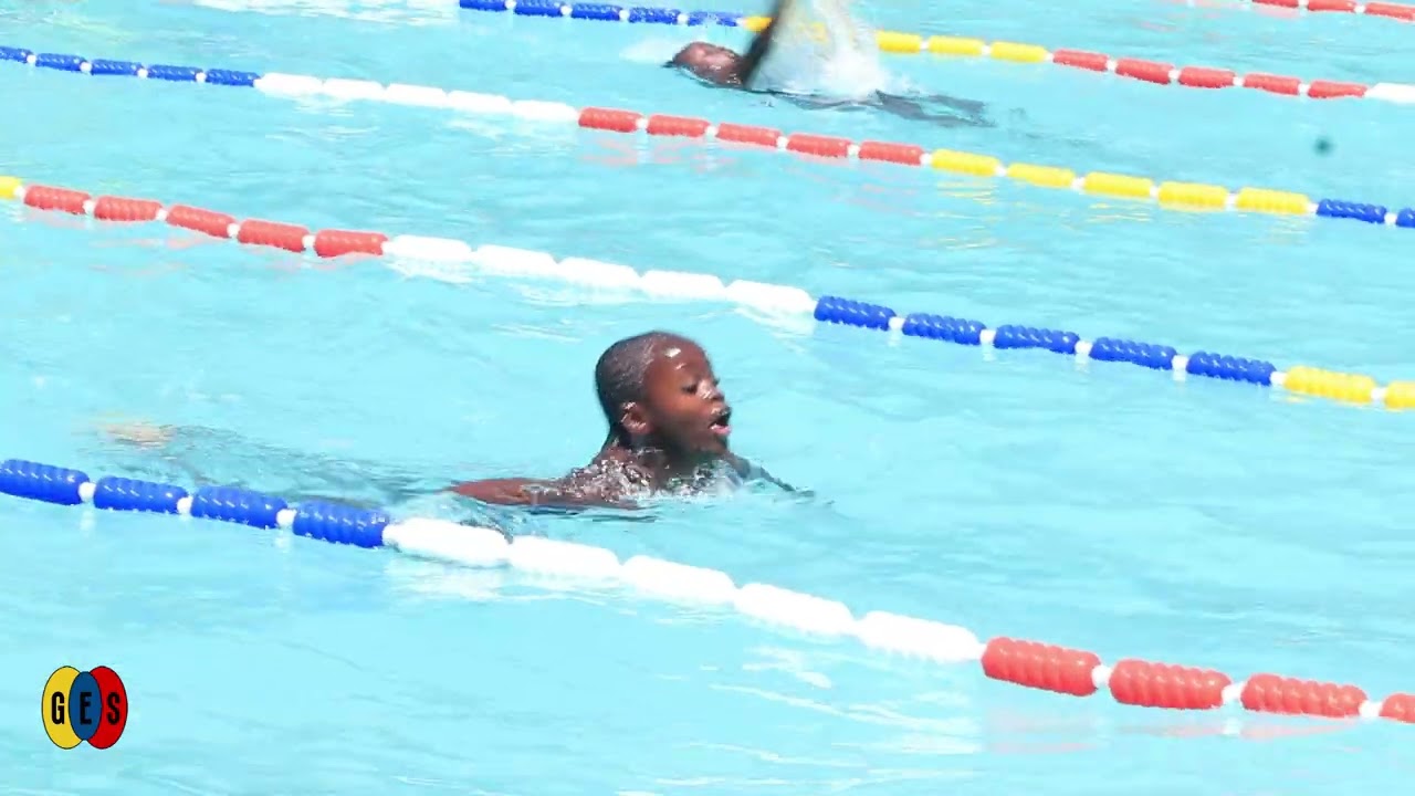Making Waves: Our Spectacular Swimming Gala! 🏊‍♂️🏅