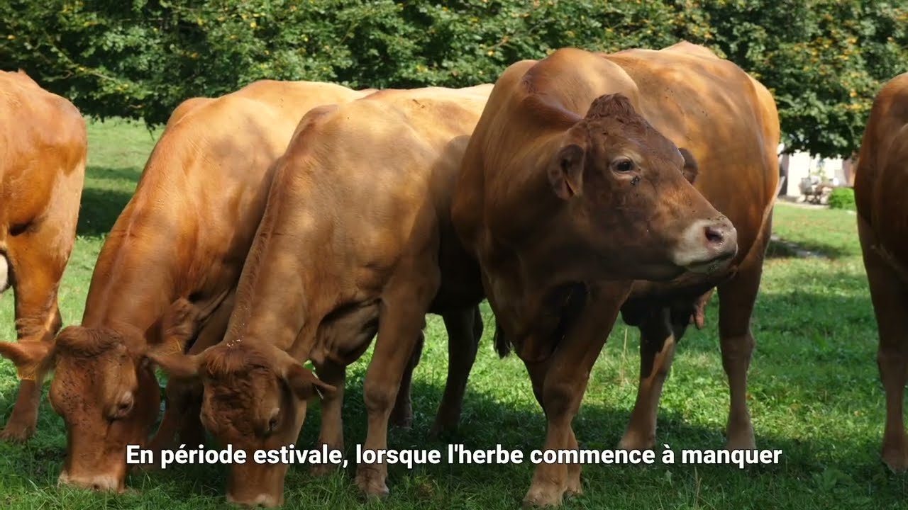 Is&egrave;re Agri'Tour 2024 : la polyculture