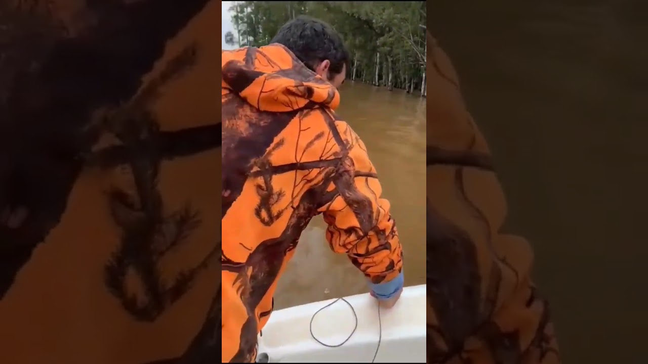 pesca de surubi de 30 kilos uruguay felicitaciones pescador amigo #pesca #fishing #surubí #salto