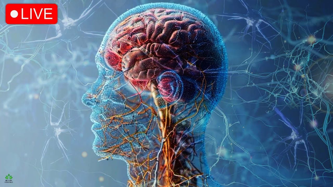 Calmez votre amygdale | Guérir les crises de panique d'anxiété | Fréquences des ondes cérébrales