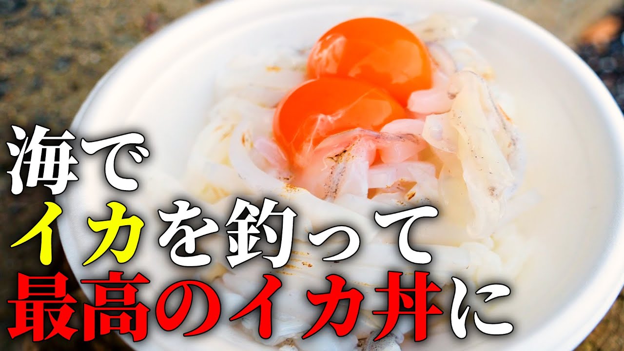 【美味すぎ】早朝の海でエギングして釣ったアオリイカを、海で捌いて究極のイカ丼を作る!