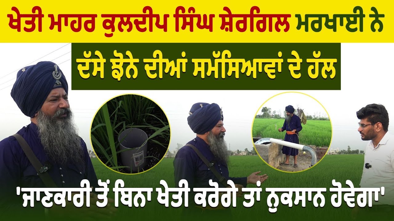 ਖੇਤੀ ਮਾਹਰ Kuldeep Singh Shergill Markhai ਨੇ ਦੱਸੇ ਝੋਨੇ ਦੀਆਂ ਸਮੱਸਿਆਵਾਂ ਦੇ ਹੱਲ | Prime Asia TV