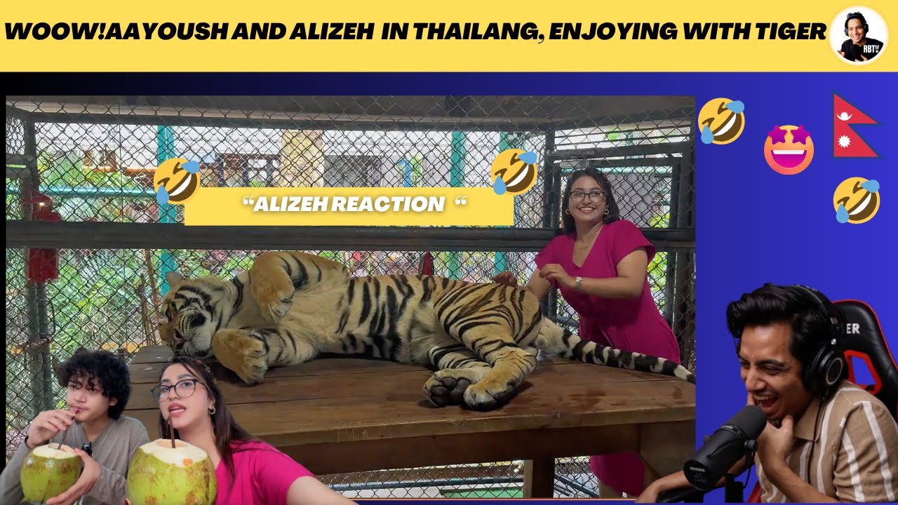 HAHA !! 😂😂 ALIZEH REACTION WITH TIGER | AAYOUSH AND ALIZEH IN PHUKET, THAILAND | Reaction Video