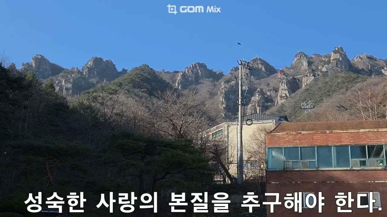 정신분석,성 심리 발전 단계,구강기,항문기,남근기,잠재기,생식기,프로이트