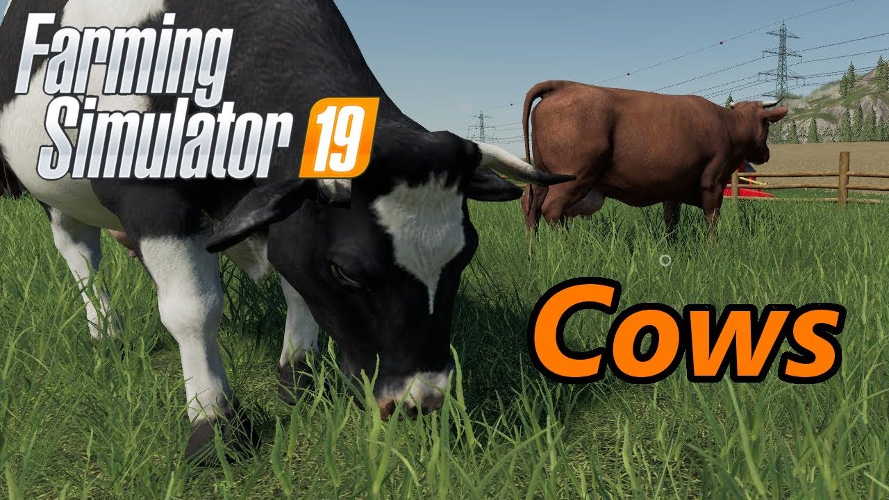Обучающее видео Farming Simulator 19 | Коровы
